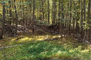 7893 Leaser Rd, Lynn Township, PA 19529 - Photo 2