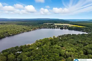 135 Dogwood Dr, Penn Forrest, PA 18229 - Photo 94