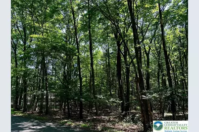 500 Sumac Court, Polk Twp, PA 18058 - Photo 6