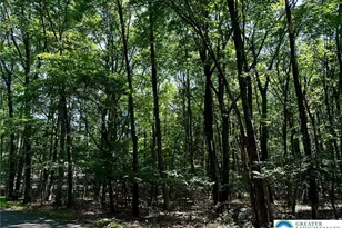 500 Sumac Ct, Polk Twp, PA 18058 - Photo 6