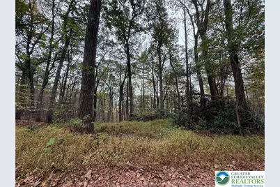 424 Mark Lane, Towamensing Twp, PA 18235 - Photo 4