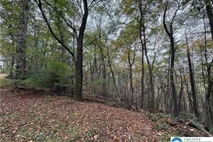 424 Mark Ln, Towamensing Twp, PA 18235 - Photo 2