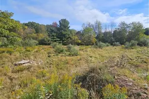 3078 Route 115, Chestnuthill Twp, PA 18330 - Photo 18