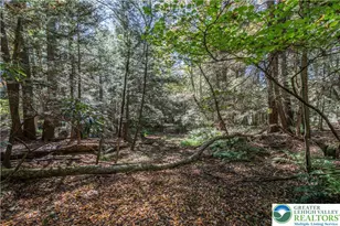 1733 State Route 903, Penn Forrest, PA 18229 - Photo 42