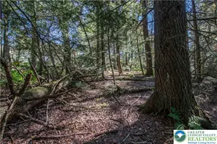 1733 State Route 903, Penn Forrest, PA 18229 - Photo 44