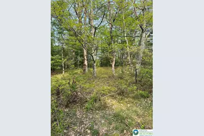 160 Oakridge Drive #137, Pike, PA 18328 - Photo 2