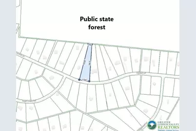 275 Forest Drive, Price Twp, PA 18325 - Photo 6