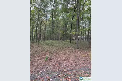 275 Forest Drive, Price Twp, PA 18325 - Photo 2