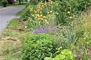 7007 Bausch Rd, New Tripoli, PA 18066 - Photo 28