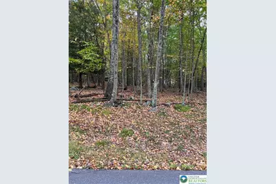 289 Forest Drive, Price Twp, PA 18325 - Photo 2