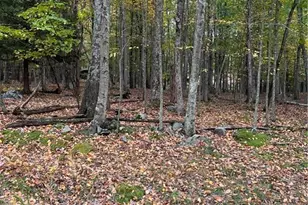 289 Forest Dr, Price Twp, PA 18325 - Photo 2