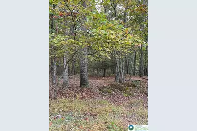 289 Forest Drive, Price Twp, PA 18325 - Photo 4