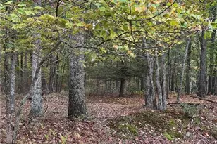 289 Forest Dr, Price Twp, PA 18325 - Photo 4