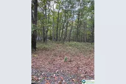 289 Forest Drive, Price Twp, PA 18325 - Photo 6