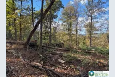 8165 Weavers Court, Lynn Township, PA 18066 - Photo 12