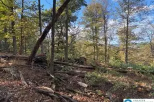 8165 Weavers Ct, Lynn Township, PA 18066 - Photo 12