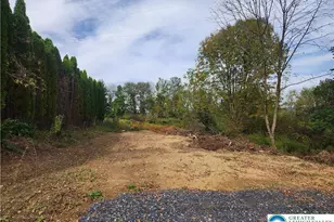 791 Point Phillips Rd, Moore Township, PA 18014 - Photo 2