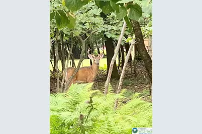 40 Kent Clarke Road, Kidder, PA 18624 - Photo 10