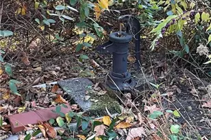 1254 River Rd, Upper Mt Bethel Twp, PA 18343 - Photo 22