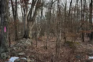 2636 Woodruff Lane, Stroud Twp, PA 18360 - Photo 4