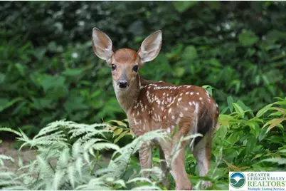 94 Blairwood Lane, Tunhannock, PA 18210 - Photo 1