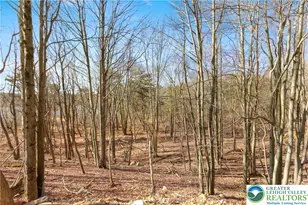 102 Eagle View Run Dr, Tobyhanna Twp, PA 18334 - Photo 26