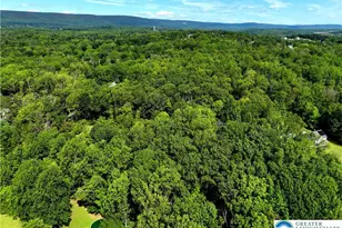 Molasses Rd, Washington Twp, PA 18013 - Photo 4