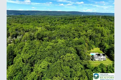 Molasses Road, Washington Twp, PA 18013 - Photo 6