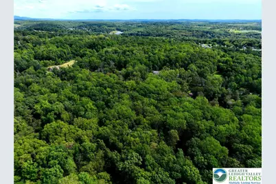 Molasses Road, Washington Twp, PA 18013 - Photo 4