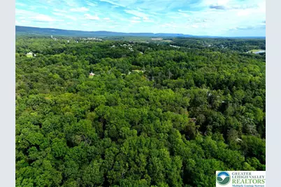 Molasses Road, Washington Twp, PA 18013 - Photo 6