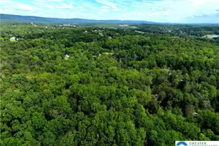 Molasses Rd, Washington Twp, PA 18013 - Photo 6