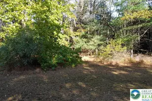 160 Grassy Rd, Polk Twp, PA 18333 - Photo 38