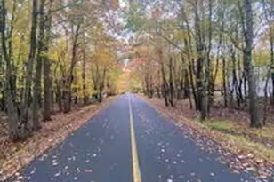 1907 Penn Forest Trail, Penn Forrest, PA 18210 - Photo 8