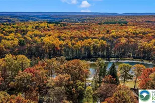 4193 Forest Dr, Polk Twp, PA 18058 - Photo 2