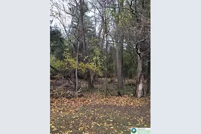 4905 Cedar Grove, Bangor Boro, PA 18013 - Photo 50