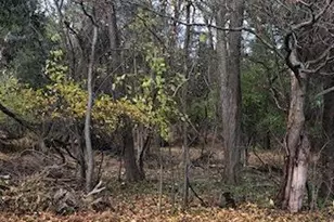 4905 Cedar Grove, Bangor Boro, PA 18013 - Photo 50