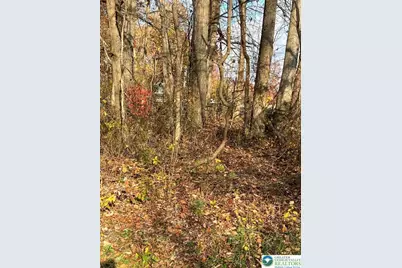 Shooktown Road, Washington Twp, PA 18013 - Photo 8