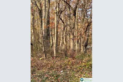 Shooktown Road, Washington Twp, PA 18013 - Photo 12