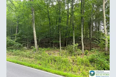 31 Faber Circle, Pocono Twp, PA 18372 - Photo 1