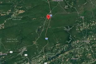 169 Yellow Run Rd, Penn Forrest, PA 18229 - Photo 4