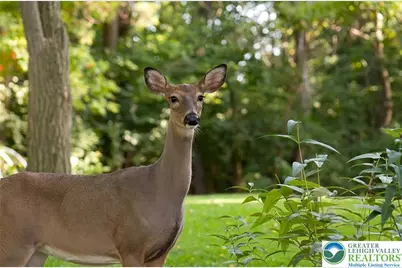 169 Yellow Run Road, Penn Forrest, PA 18229 - Photo 1