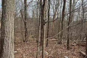 190 Williams Ln, Pocono Twp, PA 18355 - Photo 2