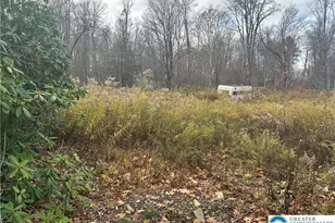 27 Richland Rd, Covington Township, PA 18444 - Photo 2