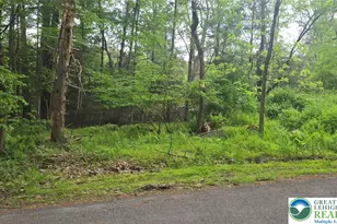 St Johns Rd, Butler Twp, PA 18222 - Photo 2