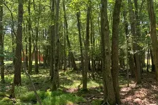 19 Sunshine Dr, White Haven, PA 18661 - Photo 2