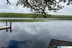 119 Little Mud Pond Rd, Porter Twp, PA 18328 - Photo 20