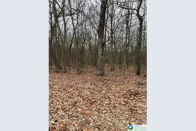 102 Heavenly Valley Drive, Pike, PA 18464 - Photo 2