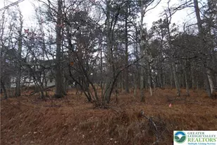 1922 Old Stage Rd, Penn Forrest, PA 18210 - Photo 4