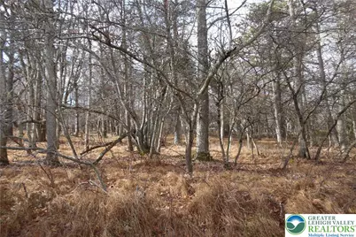 1922 Old Stage Road, Penn Forrest, PA 18210 - Photo 1