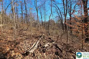 4057 Sherry Hill Rd, Lower Saucon Township, PA 18055 - Photo 14